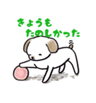 手乗り犬（個別スタンプ：27）