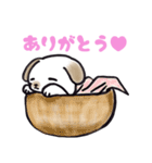 手乗り犬（個別スタンプ：38）