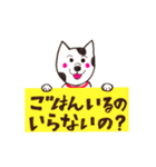 犬が伝えるメッセージ（個別スタンプ：1）