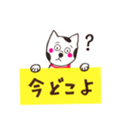 犬が伝えるメッセージ（個別スタンプ：8）