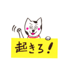 犬が伝えるメッセージ（個別スタンプ：20）