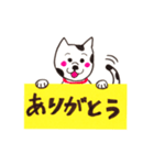 犬が伝えるメッセージ（個別スタンプ：24）