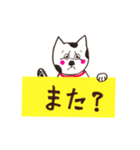 犬が伝えるメッセージ（個別スタンプ：35）