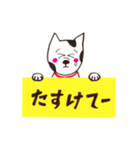 犬が伝えるメッセージ（個別スタンプ：37）