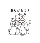 ねこが三匹こんにちは（個別スタンプ：31）