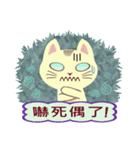 Cat Misee (Chinese)（個別スタンプ：13）