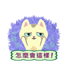 Cat Misee (Chinese)（個別スタンプ：14）