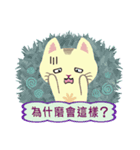 Cat Misee (Chinese)（個別スタンプ：23）