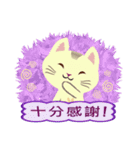 Cat Misee (Chinese)（個別スタンプ：24）