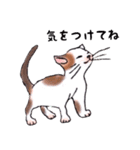 動物がいっぱい（個別スタンプ：5）