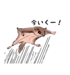動物がいっぱい（個別スタンプ：6）