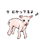 動物がいっぱい（個別スタンプ：35）