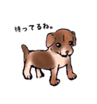 動物がいっぱい（個別スタンプ：36）