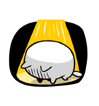 ふくよか白猫-Ppopo(ポポ)（個別スタンプ：31）