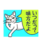 元ノラ猫のホワイトラム、本音を語る（個別スタンプ：27）