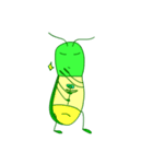 Normal Firefly (Thai Version)（個別スタンプ：21）