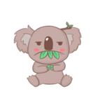 Me Koala！（個別スタンプ：8）