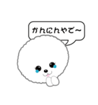 Bichon Frise of Kansai dialect（個別スタンプ：2）