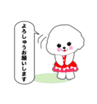 Bichon Frise of Kansai dialect（個別スタンプ：13）