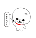 Bichon Frise of Kansai dialect（個別スタンプ：18）