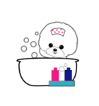 Bichon Frise of Kansai dialect（個別スタンプ：19）