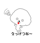 Bichon Frise of Kansai dialect（個別スタンプ：21）