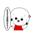 Bichon Frise of Kansai dialect（個別スタンプ：24）