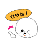 Bichon Frise of Kansai dialect（個別スタンプ：28）