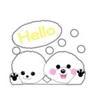 Bichon Frise of Kansai dialect（個別スタンプ：31）