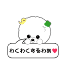 Bichon Frise of Kansai dialect（個別スタンプ：33）