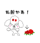 Strawberry poodle（個別スタンプ：30）