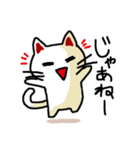 わからんネコ（個別スタンプ：3）