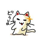 わからんネコ（個別スタンプ：10）