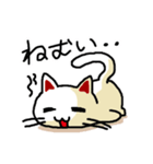わからんネコ（個別スタンプ：14）