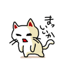 わからんネコ（個別スタンプ：25）