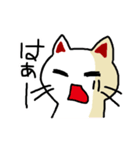 わからんネコ（個別スタンプ：28）