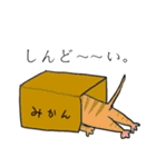 すれてるらくがき達（個別スタンプ：8）