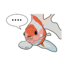 Water Animals（個別スタンプ：1）
