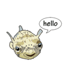 Water Animals（個別スタンプ：2）