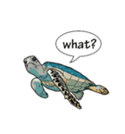 Water Animals（個別スタンプ：4）
