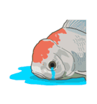 Water Animals（個別スタンプ：7）