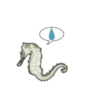 Water Animals（個別スタンプ：8）