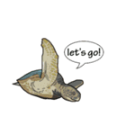 Water Animals（個別スタンプ：10）