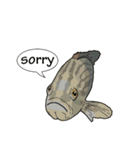 Water Animals（個別スタンプ：13）