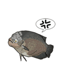 Water Animals（個別スタンプ：23）