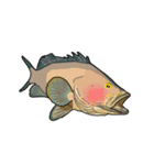 Water Animals（個別スタンプ：29）