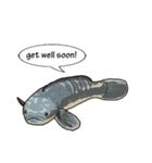 Water Animals（個別スタンプ：30）