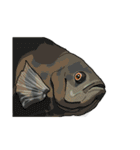 Water Animals（個別スタンプ：34）