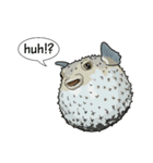 Water Animals（個別スタンプ：36）