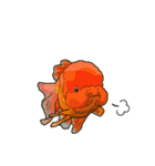 Water Animals（個別スタンプ：37）